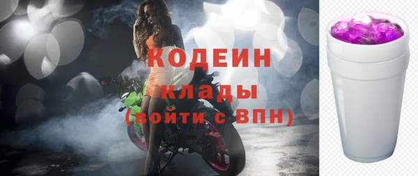хмурый Алзамай
