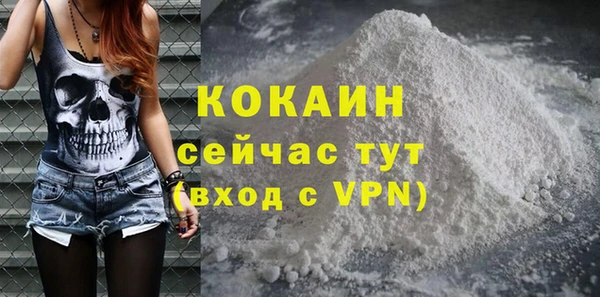 apvp Алексин