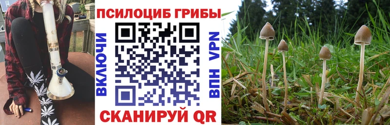Псилоцибиновые грибы ЛСД Вологда
